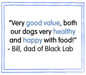 Chappie Beef Dog Food 15kg. Cheap Prices PetShop